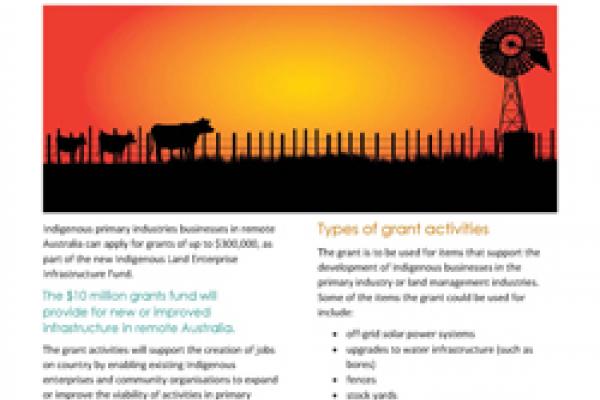 Indigenous Land Enterprise Infrastructure Fund fact sheet